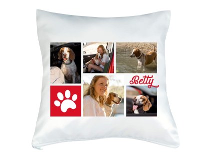 VANKÚŠ S FOTKOU rámik LABKA KOLÁŽ ČERVENÁ 2